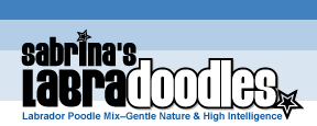 Sabrina's Logo